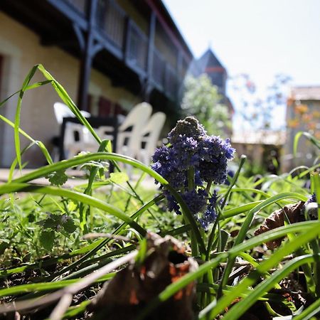Au Repos Des Elfes Villa Braye-sous-Faye Ngoại thất bức ảnh