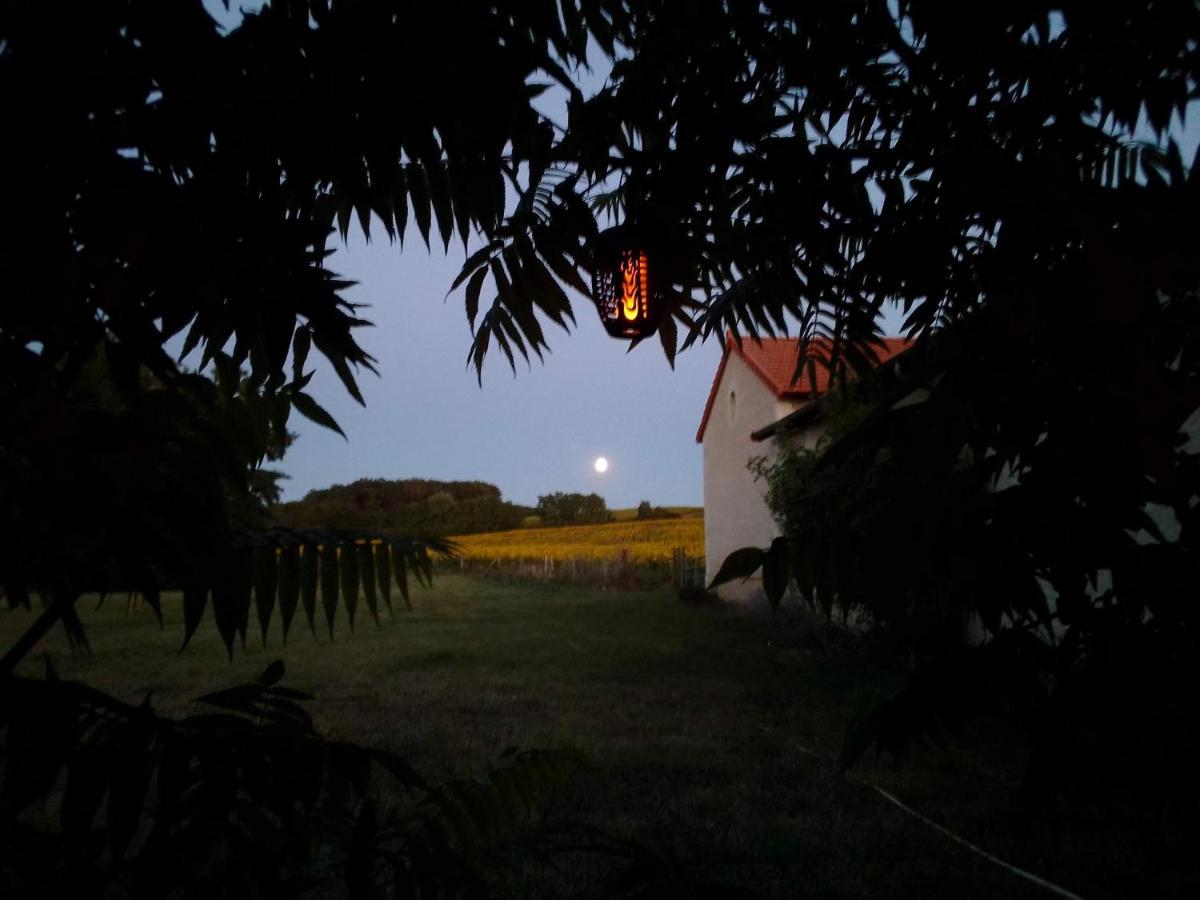 Au Repos Des Elfes Villa Braye-sous-Faye Ngoại thất bức ảnh